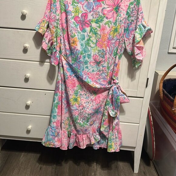 Lilly Pulitzer dress - Picture 7 of 13